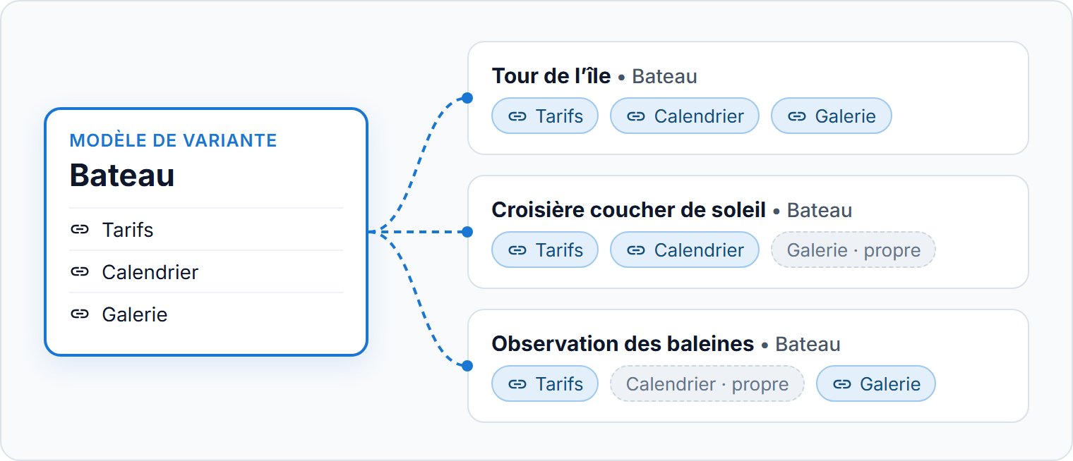 Un modèle, synchronisé avec des variantes de trois visites.