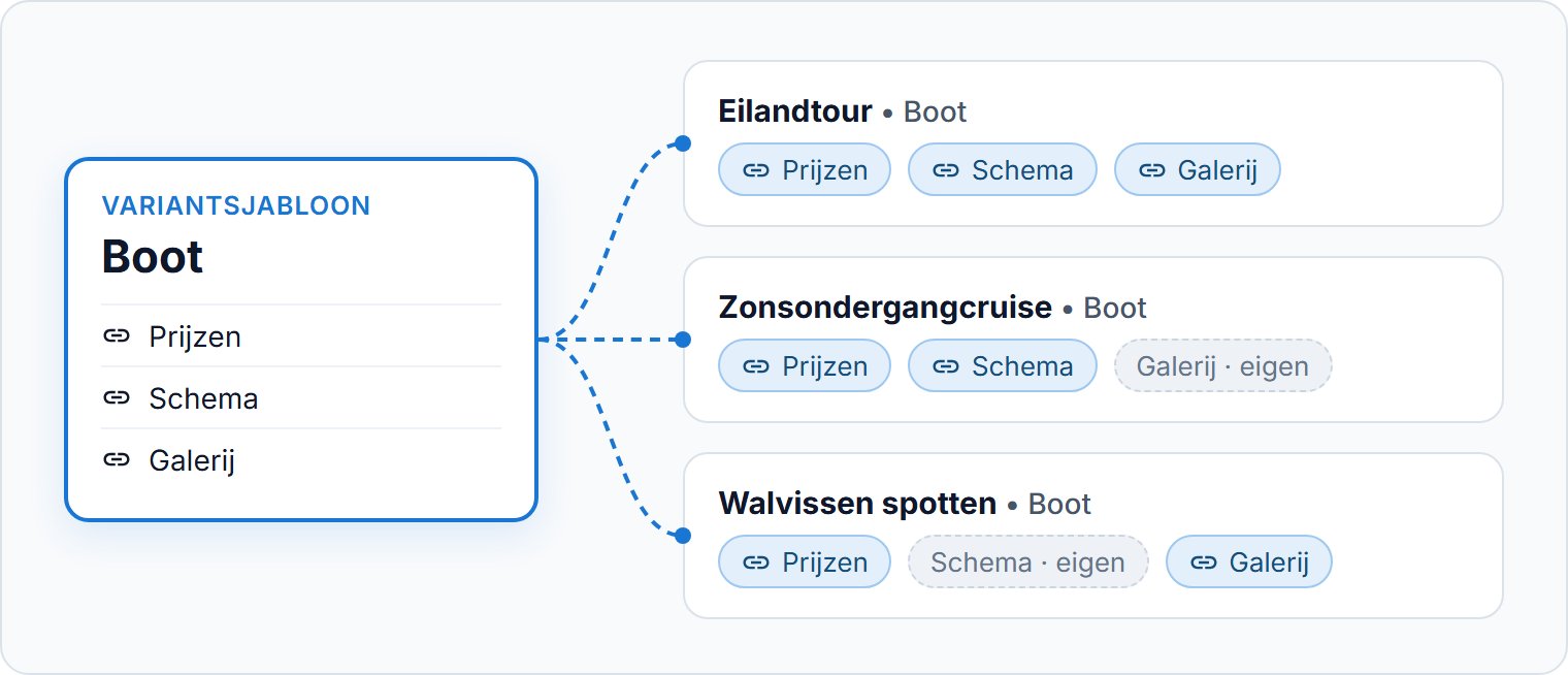 Eén sjabloon, gesynchroniseerd met varianten op drie tours.